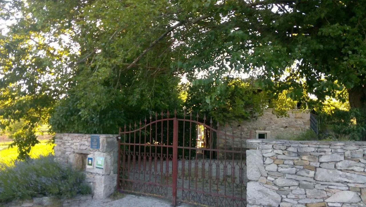 Villa Elena بوزت